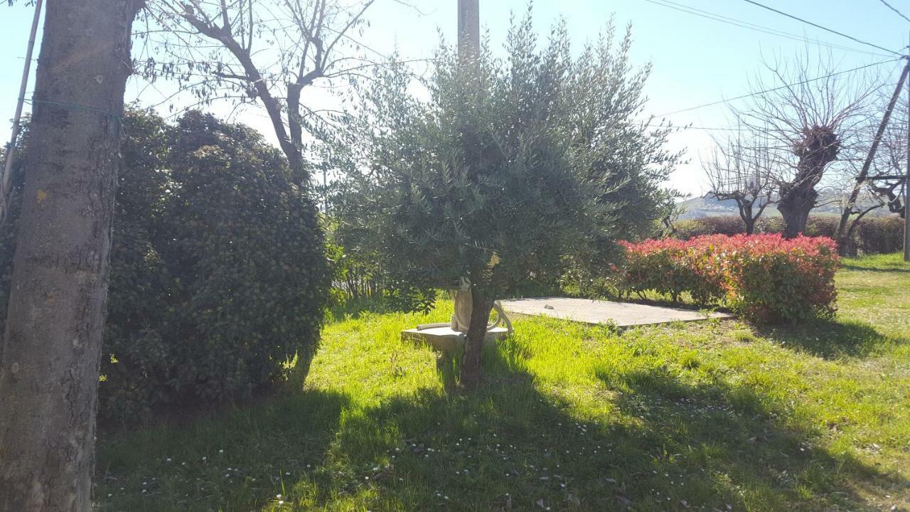 Vila Casa Selene Rocchi Savignano sul Panaro Exteriér fotografie